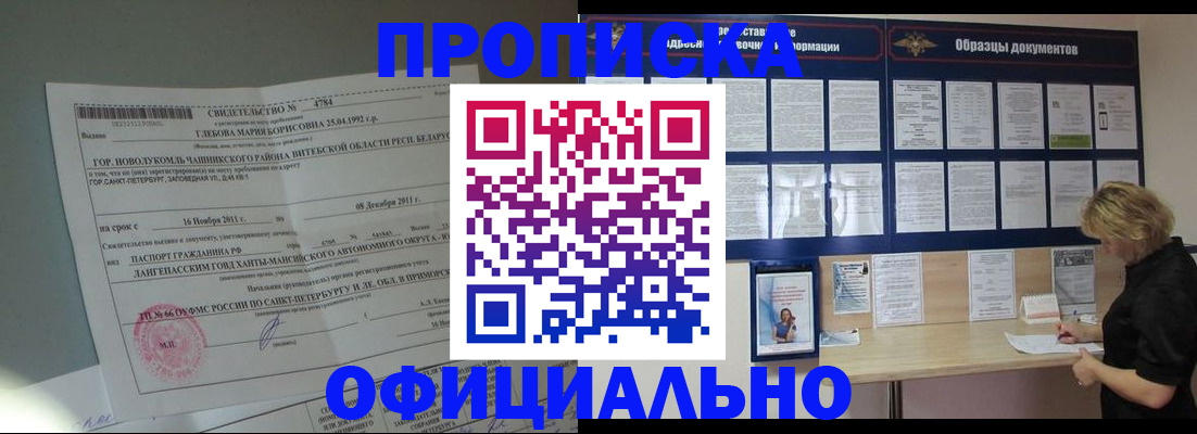 временная регистрация поиск в Новозыбкове